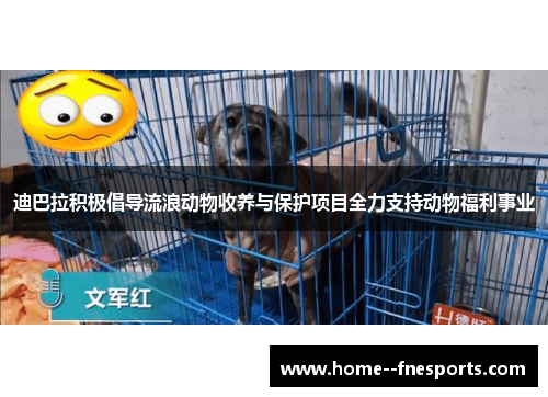 迪巴拉积极倡导流浪动物收养与保护项目全力支持动物福利事业